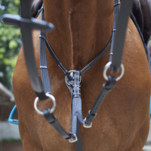 JLN Running Martingale