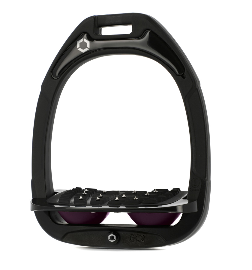 GC_TOP_NOIR_IUG-NOIR_PRUNE