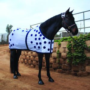 Professional's Choice Magnetic Rug